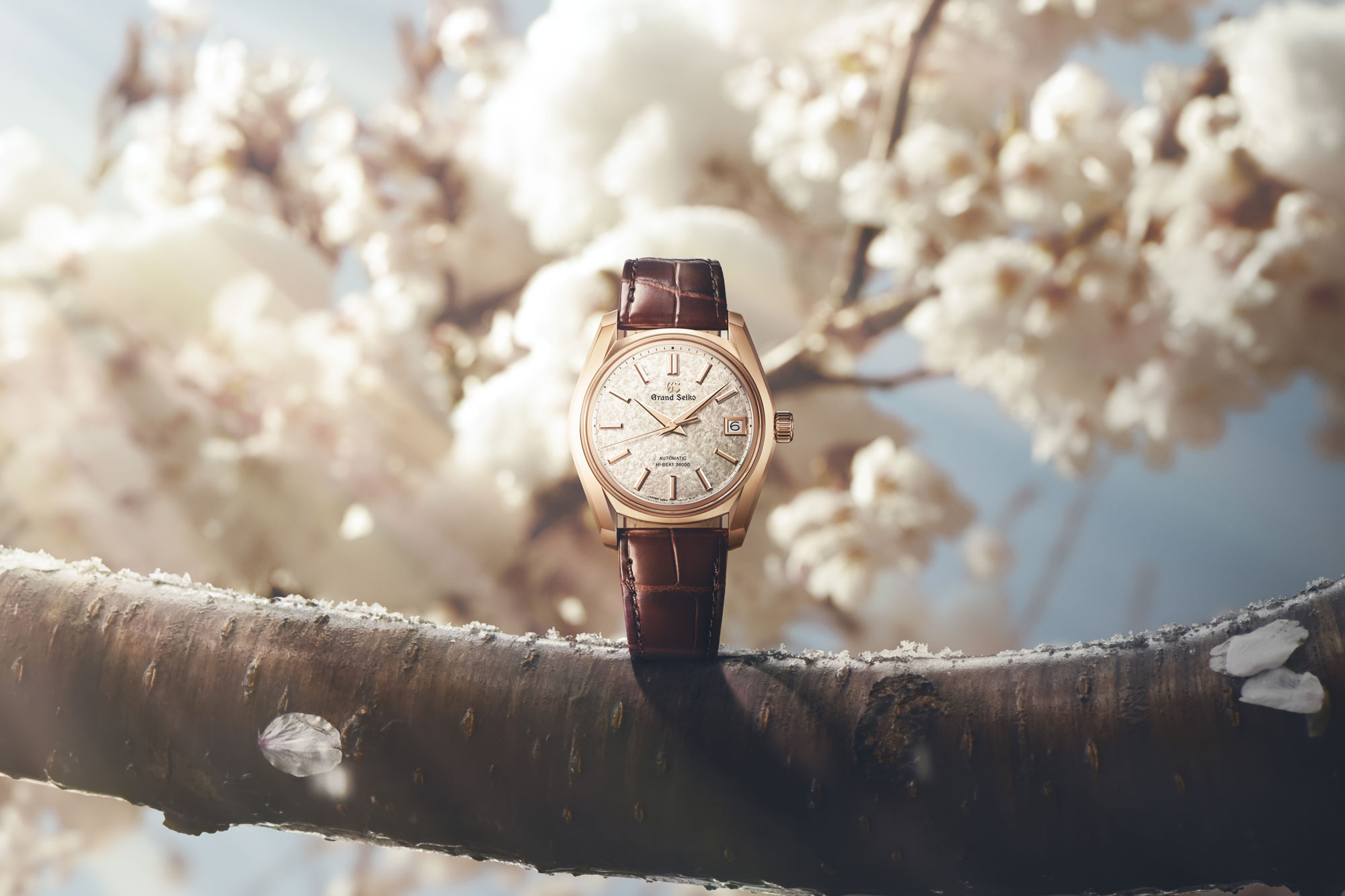 Grand_Seiko_Spring_Drive_GMT_SBG295-hero-thumbnail